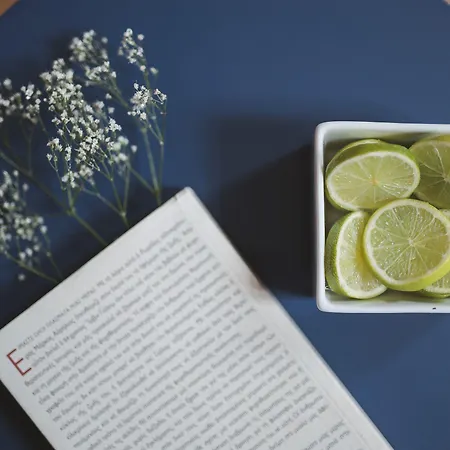 风信子豪华套房住宿加早餐旅馆 公寓式酒店