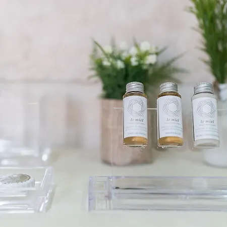 公寓式酒店 风信子豪华套房住宿加早餐旅馆 4*